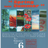 'Spring into Summer', The Group of Six at Insight Art Gallery,
June 25-July27
