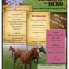 Leading the Herd - Youth Leadership and Horsemanship Camp