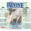 Revive - Womens Wellness Retreat