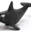 ORCA Sculpting class