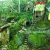 Milner Gardens 3rd Annual Fairy House Surprise June 21 to June 23, 2013