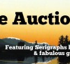 2014 Online Auction Fundraiser