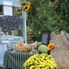 18th Annual Harvest Celebration