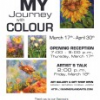 My Journey with Colour