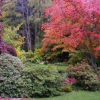 VIUs Milner Gardens Fall Openings Sundays Oct 16th, 23rd & 30th, 2016