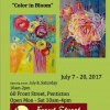 Deb Tougas: Color in Bloom