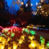 VIU’s Milner Gardens Christmas Magic