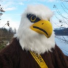 Fraser Valley Bald Eagle Festival
