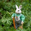 VIU's Milner Gardens & Woodland Bunny Trail April 19 to 22, 2019