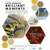 15th Annual Brilliant Moments